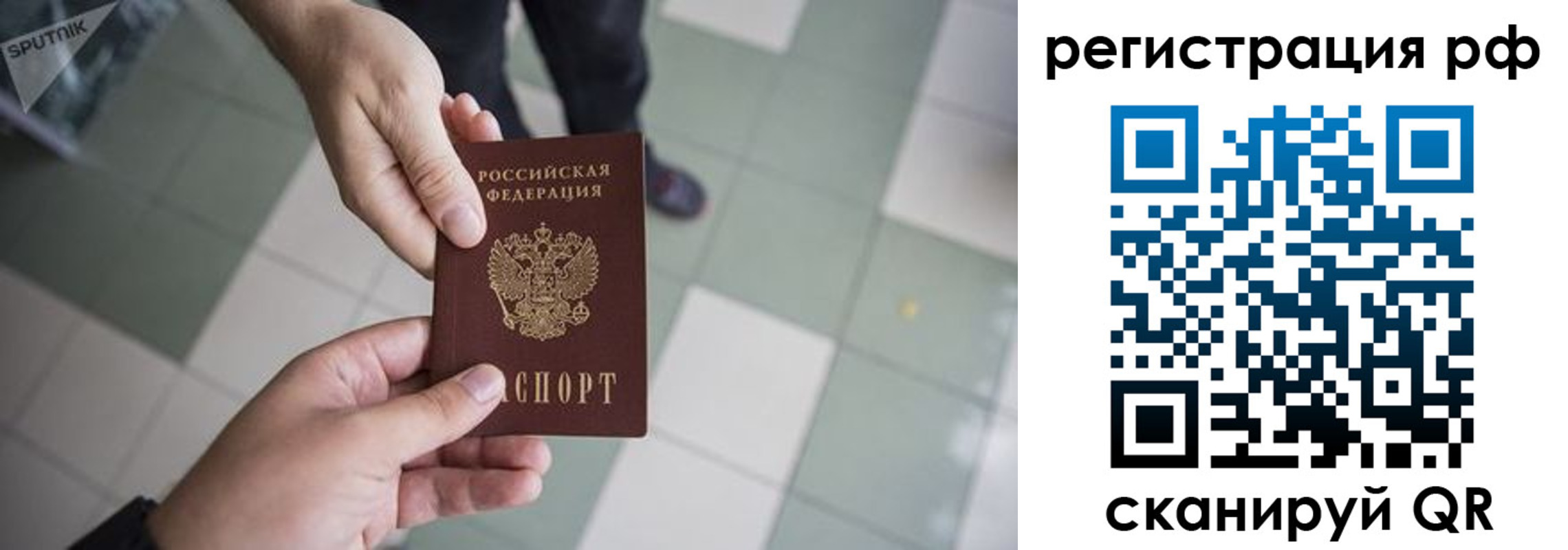прописка гарантия в Кингисеппе